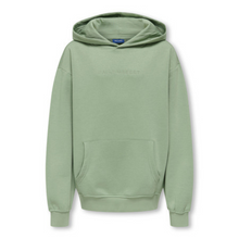 Afbeelding in Gallery-weergave laden, Hoodie Bill
