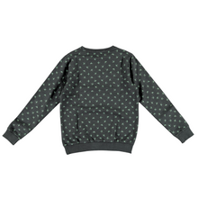 Afbeelding in Gallery-weergave laden, Sweater Vinrose J005
