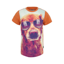 Afbeelding in Gallery-weergave laden, Legends22 set - 2201
