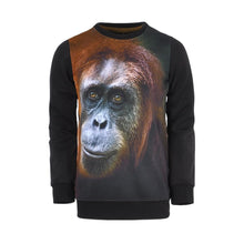 Afbeelding in Gallery-weergave laden, Sweater Hauke
