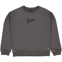 Afbeelding in Gallery-weergave laden, Sweater Theo
