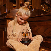 Afbeelding in Gallery-weergave laden, Flared Broek O56909
