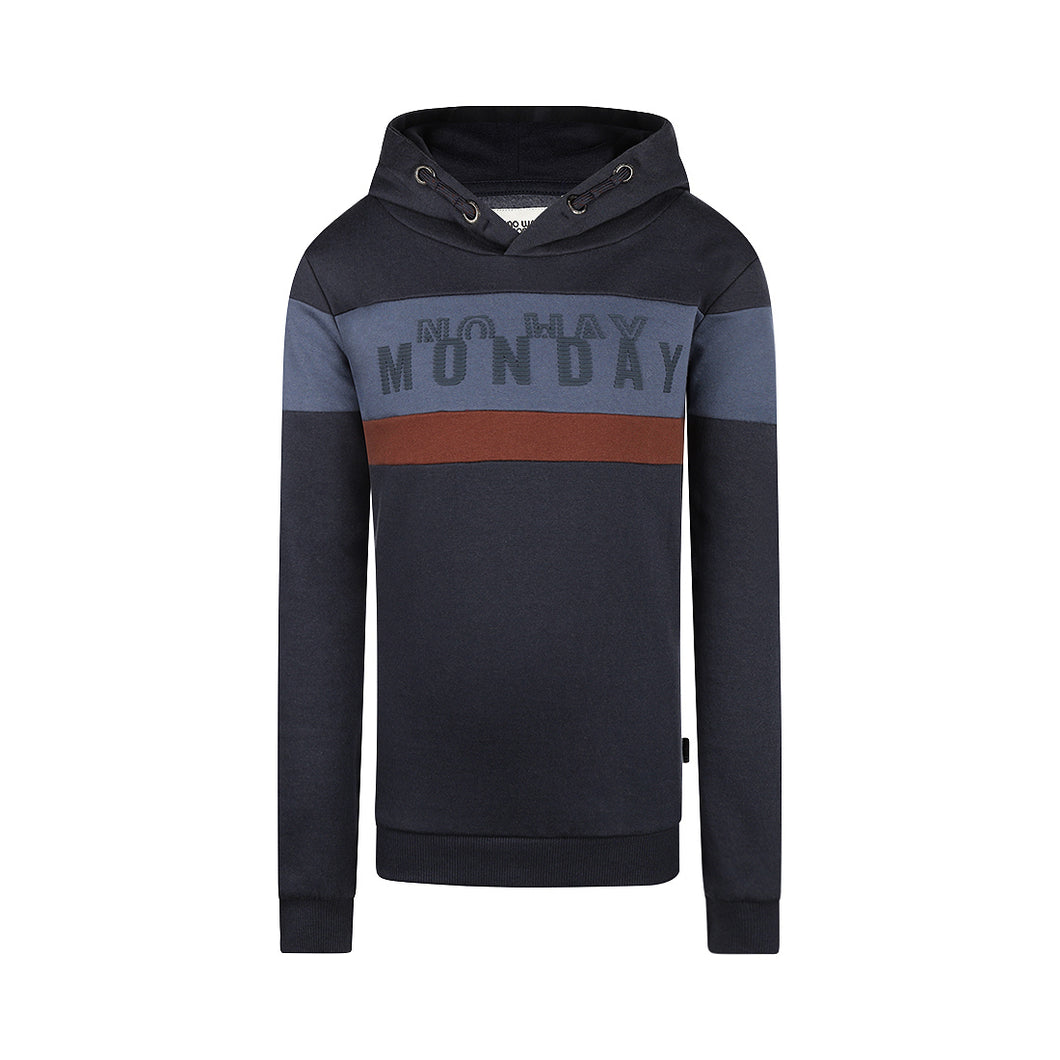 Hoodie Q52166