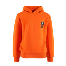 Charger l'image dans la galerie, Hoodie Hank
